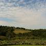 DESTINY HILL FARM, WASHINGTON