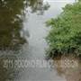 Honesdale River Shore