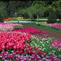 LONGWOOD GARDENS, KENNETT SQUARE