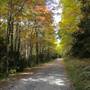WEISER STATE FOREST