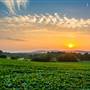 SPRING GROVE, YORK COUNTY