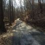 GLEN ALLEN MILL LANDSCAPE VIEWS