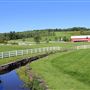DALLAS, LUZERNE COUNTY