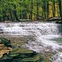 SALT SPRINGS STATE PARK