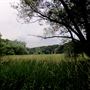 WILDWOOD PARK, HARRISBURG