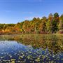 Merli-Sarnoski Park, Lackawanna County
