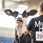 Pennsylvania Farm Show Complex & Expo Center