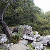 HAWK MOUNTAIN SANCTUARY