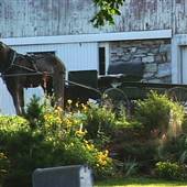 AMISH FARMSCAPES, LANCASTER COUNTY
