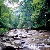 RIDLEY CREEK STATE PARK