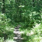 HILLMAN STATE PARK