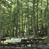PRESQUE ISLE STATE PARK
