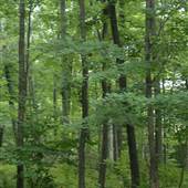 State Game Lands
