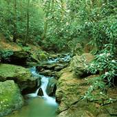 TUCQUAN GLEN NATURE PRESERVE