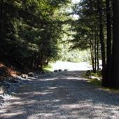 ROTHROCK STATE FOREST