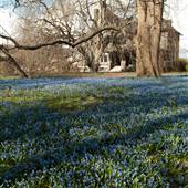 THE NATIONAL IRON & STEEL HERITAGE MUSEUM, GRAYSTONE MANSION