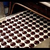 WOLFGANG CANDY COMPANY