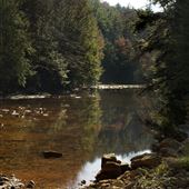 TOBY CREEK, LUZERNE COUNTY