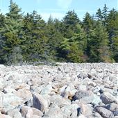 BOULDER FIELD, HICKORY RUN STATE PARK