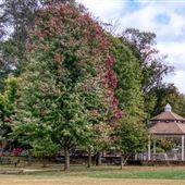 BROOMALL