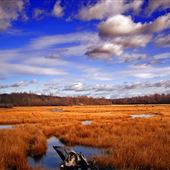 GOULDSBORO STATE PARK