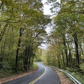 ALLEGHENY NATIONAL FOREST - Road, Path Scenes