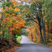 Columbia and Montour Counties in Fall