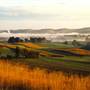 SCENES FROM MERCER COUNTY
