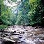 RIDLEY CREEK STATE PARK