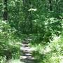 HILLMAN STATE PARK