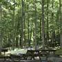 PRESQUE ISLE STATE PARK