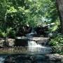 Lake Ariel Spring
