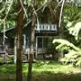 Houses in the Woods