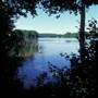 GIFFORD PINCHOT STATE PARK