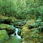 TUCQUAN GLEN NATURE PRESERVE