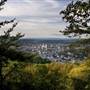 READING OVERLOOK