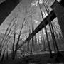 GREAT ALLEGHENY PASSAGE