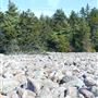 BOULDER FIELD, HICKORY RUN STATE PARK