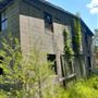 PIKE COUNTY ABANDONED BUILDING & LANDSCAPE