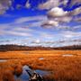 GOULDSBORO STATE PARK