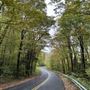 Allegheny National Forest - Road, Path Scenes