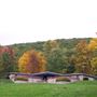Allegheny National Forest - Allegheny Reservoir, Kinzua Dam and Kinzua Beach