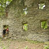 MICHAUX STATE FOREST