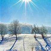 TIOGA COUNTY WINTER SCENERY