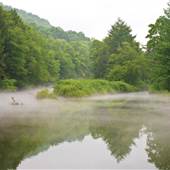 BENDIGO STATE PARK