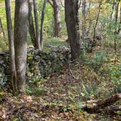 PROMPTON STATE PARK