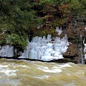 SALT SPRINGS STATE PARK