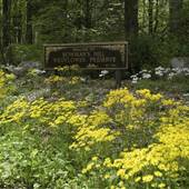 BOWMAN'S HILL WILDFLOWER PRESERVE