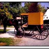 AMISH BUGGY, LAWRENCE COUNTY