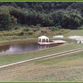THE DUKE FARM II